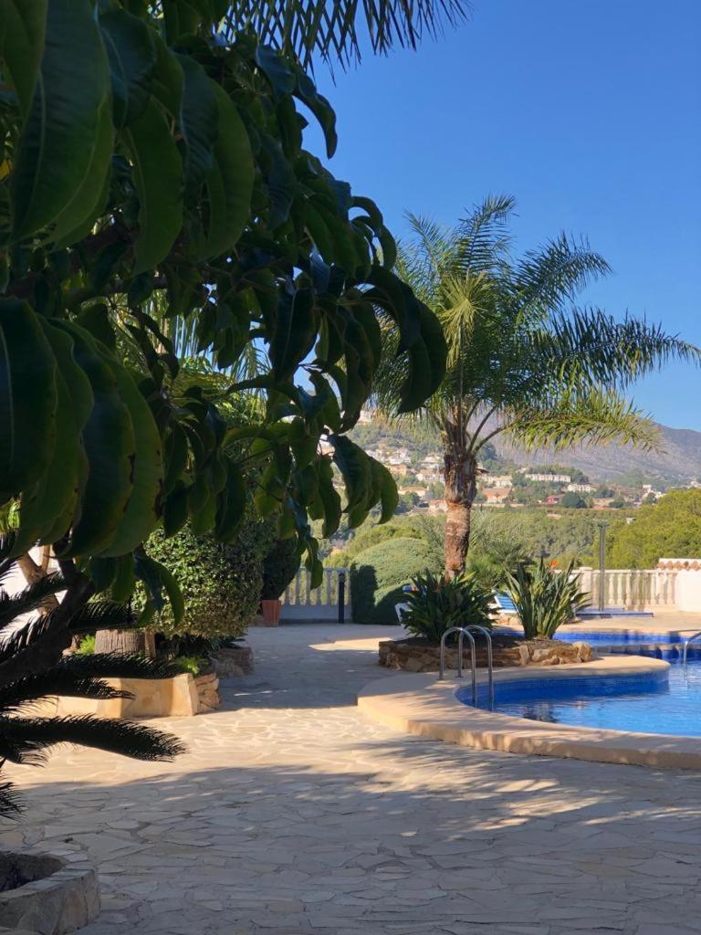 Apartment Elena Casanova Calpe